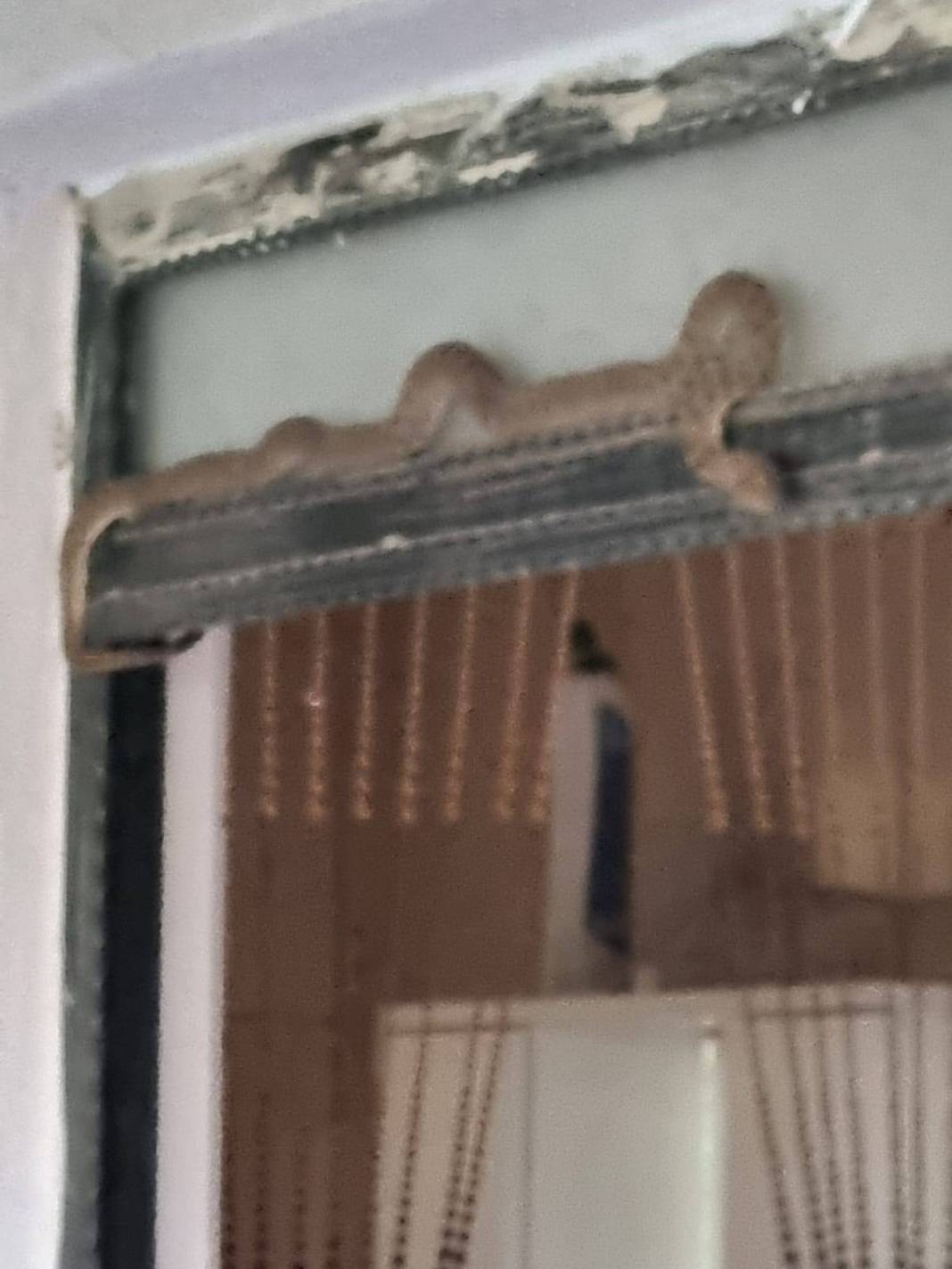 O kentte evlerden yılan fışkırıyor! İtfaiye ekipleri yoğun 'yılan' mesaisi yapıyor 8